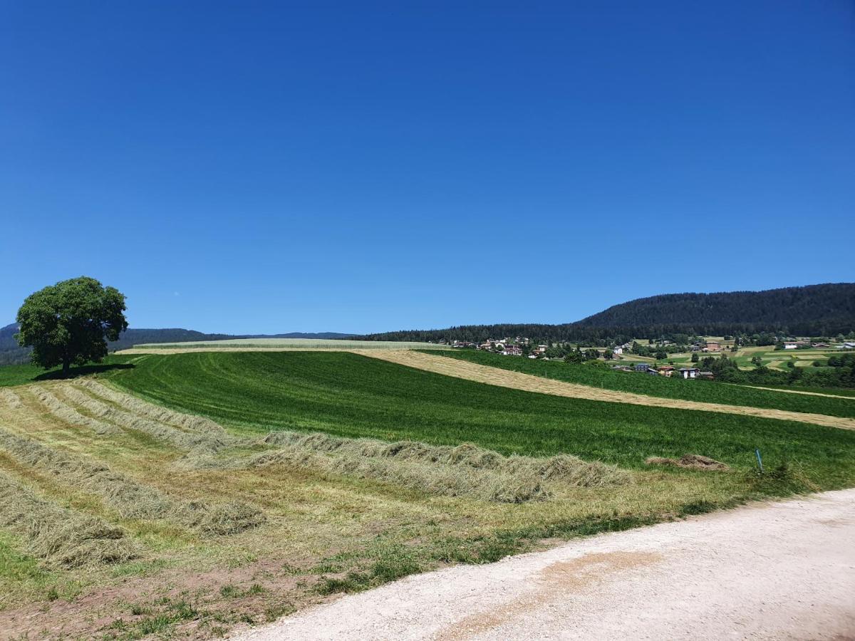 Agritur Belsogno B&B ブレツ エクステリア 写真